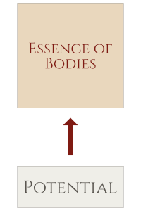 Essential Identicality x2 HD